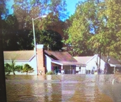 Woodys Home Underwater