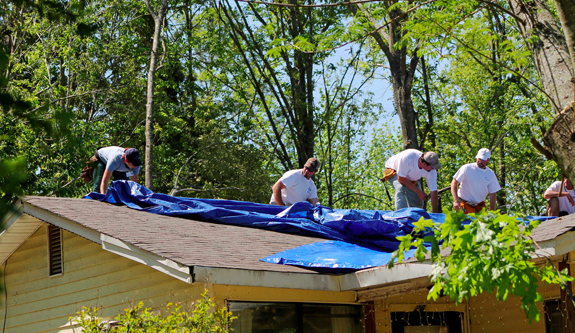 tarp action