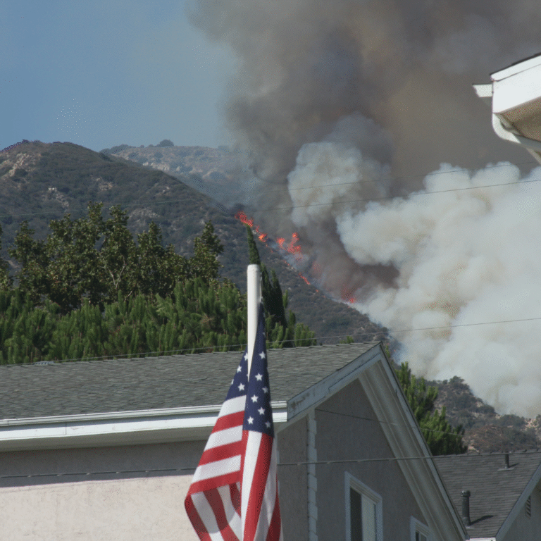 Assessing Wildfire Risk Hope Force International