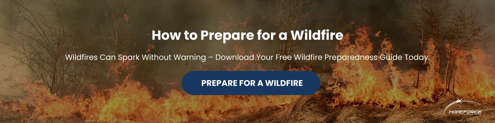 Image of the Wildfire Preparedness Downloadable Resource with an image of a wildfire in the background.